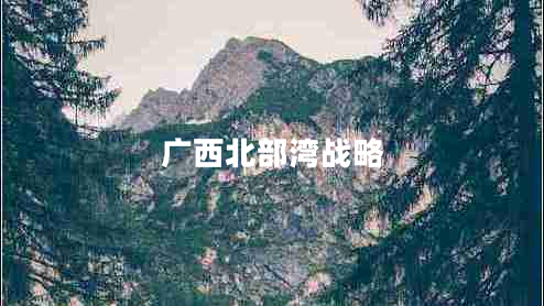 廣西北部灣戰(zhàn)略 廣西北部灣戰(zhàn)略