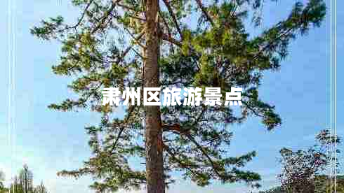 肅州區(qū)旅游景點(diǎn) 肅州區(qū)旅游景點(diǎn)