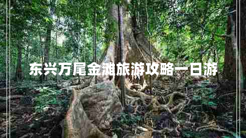 東興萬(wàn)尾金灘旅游攻略一日游