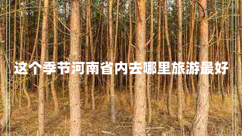 這個季節(jié)河南省內(nèi)去哪里旅游最好