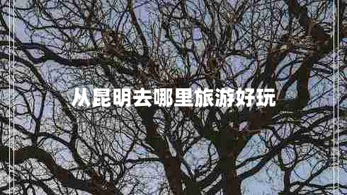 從昆明去哪里旅游好玩 從昆明去哪里旅游好玩