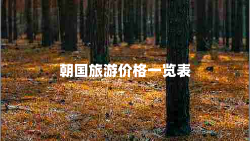 朝國旅游價格一覽表