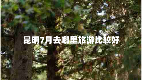 昆明7月去哪里旅游比較好