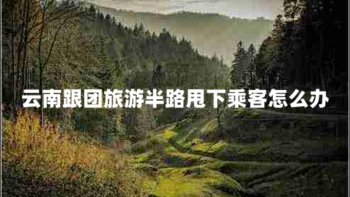 云南跟團(tuán)旅游半路甩下乘客怎么辦