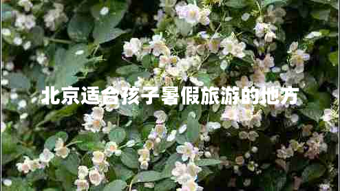 北京適合孩子暑假旅游的地方