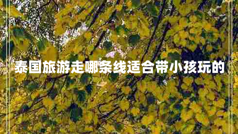 泰國旅游走哪條線適合帶小孩玩的