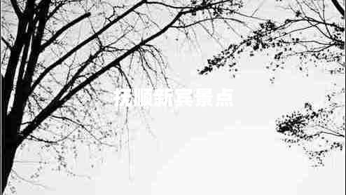 撫順新賓景點(diǎn)