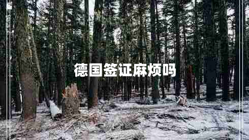 德國簽證麻煩嗎 德國簽證麻煩嗎