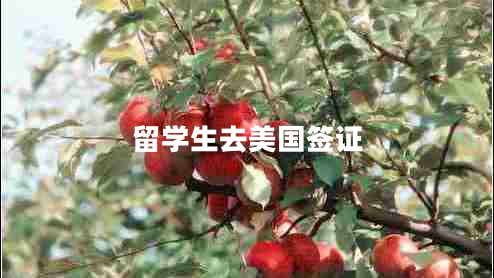 留學生去美國簽證