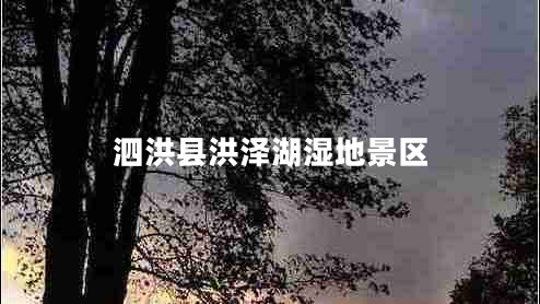 泗洪縣洪澤湖濕地景區(qū) 泗洪縣洪澤湖濕地景區(qū)