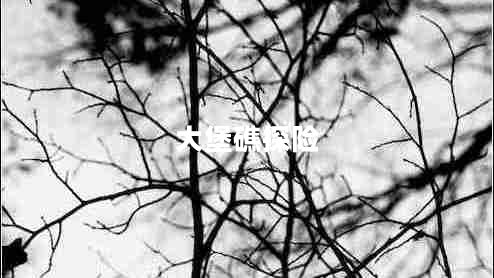 大堡礁探險(xiǎn) 大堡礁探險(xiǎn)