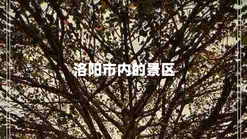 洛陽(yáng)市內(nèi)的景區(qū)