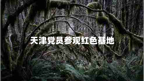 天津黨員參觀紅色基地 天津黨員參觀紅色基地