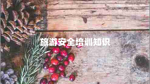 旅游安全培訓知識 旅游安全培訓知識