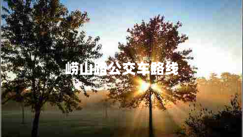 嶗山路公交車路線 嶗山路公交車路線
