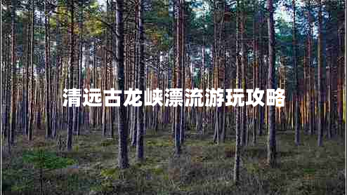 清遠古龍峽漂流游玩攻略