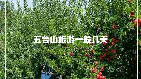 五臺(tái)山旅游一般幾天