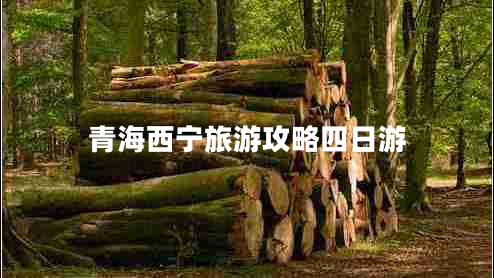 青海西寧旅游攻略四日游