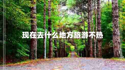 現(xiàn)在去什么地方旅游不熱