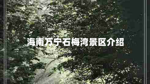 海南萬寧石梅灣景區(qū)介紹