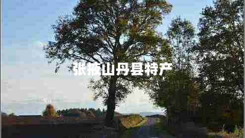 張掖山丹縣特產(chǎn)