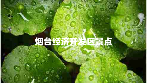 煙臺(tái)經(jīng)濟(jì)開(kāi)發(fā)區(qū)景點(diǎn)
