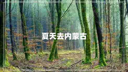 夏天去內(nèi)蒙古 夏天去內(nèi)蒙古