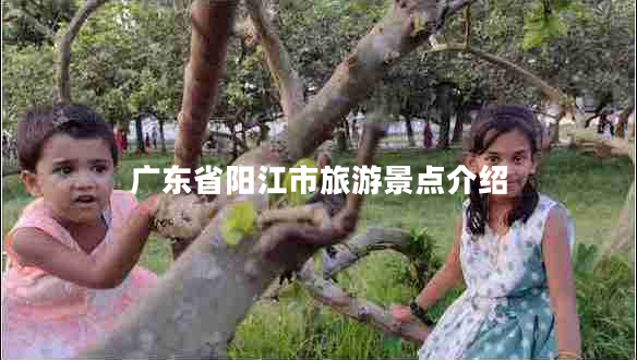 廣東省陽(yáng)江市旅游景點(diǎn)介紹