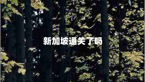 新加坡通關(guān)了嗎