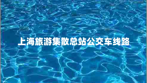 上海旅游集散總站公交車線路