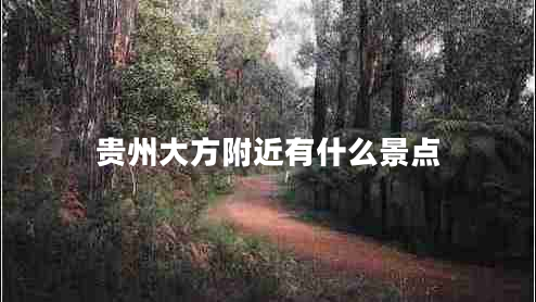 貴州大方附近有什么景點 貴州大方附近有什么景點