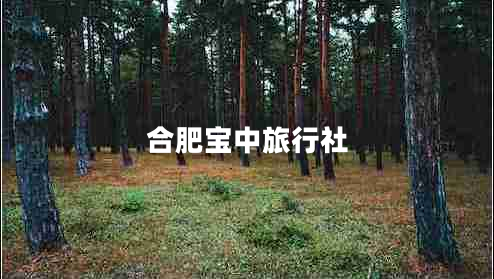 合肥寶中旅行社