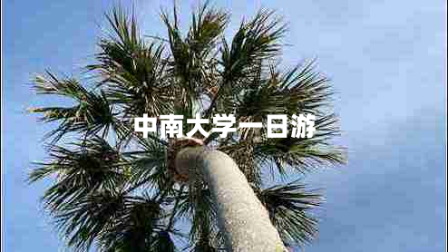 中南大學(xué)一日游 中南大學(xué)一日游