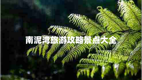 南泥灣旅游攻略景點大全