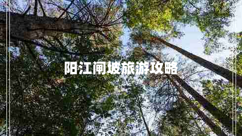 陽江閘坡旅游攻略