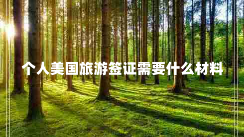 個人美國旅游簽證需要什么材料 個人美國旅游簽證需要什么材料