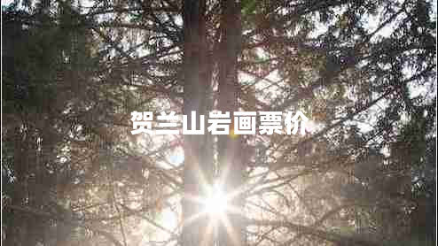 賀蘭山巖畫票價 賀蘭山巖畫票價