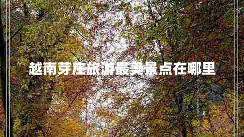 越南芽莊旅游最美景點在哪里 越南芽莊旅游最美景點在哪里