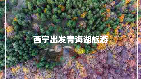 西寧出發(fā)青海湖旅游