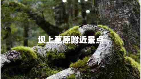 壩上草原附近景點(diǎn)