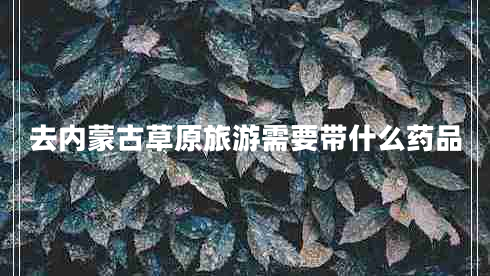 去內(nèi)蒙古草原旅游需要帶什么藥品
