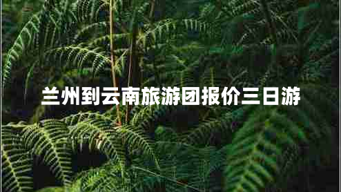 蘭州到云南旅游團(tuán)報(bào)價(jià)三日游