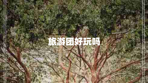 旅游團(tuán)好玩嗎 旅游團(tuán)好玩嗎