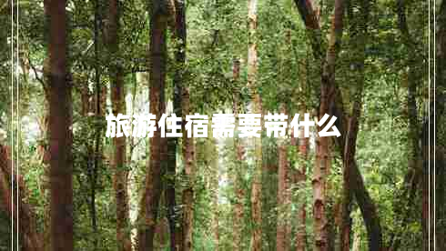 旅游住宿需要帶什么