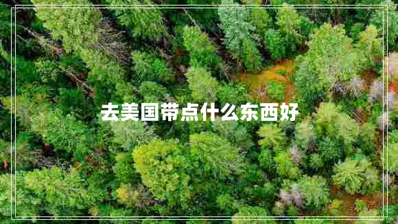 去美國(guó)帶點(diǎn)什么東西好
