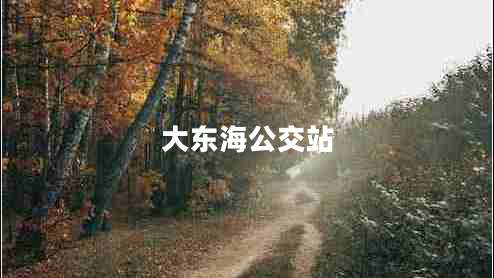 大東海公交站 大東海公交站