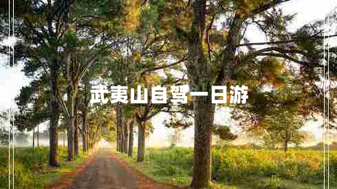 武夷山自駕一日游