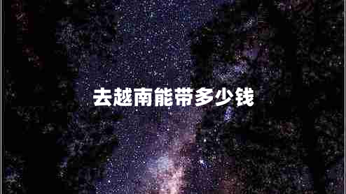 去越南能帶多少錢