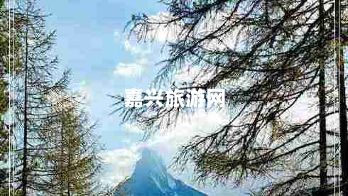 嘉興旅游網(wǎng) 嘉興旅游網(wǎng)