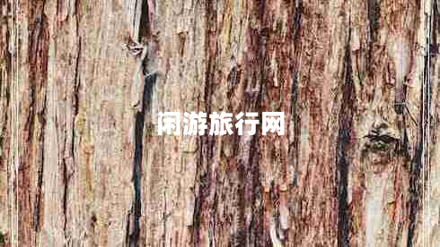 閑游旅行網(wǎng)